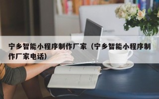 泰兴宁乡智能小程序制作厂家（宁乡智能小程序制作厂家电话）
